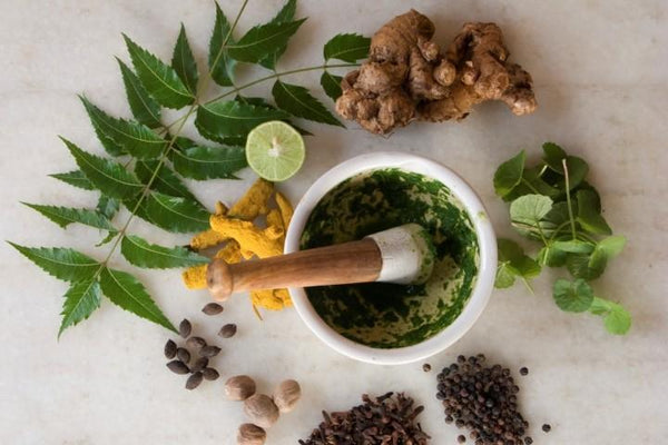 Everything You Need to Know About Natural Remedies for Hemorrhoids