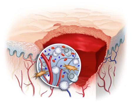 The Minute-By-Minute, Day-By-Day Life of a Scar