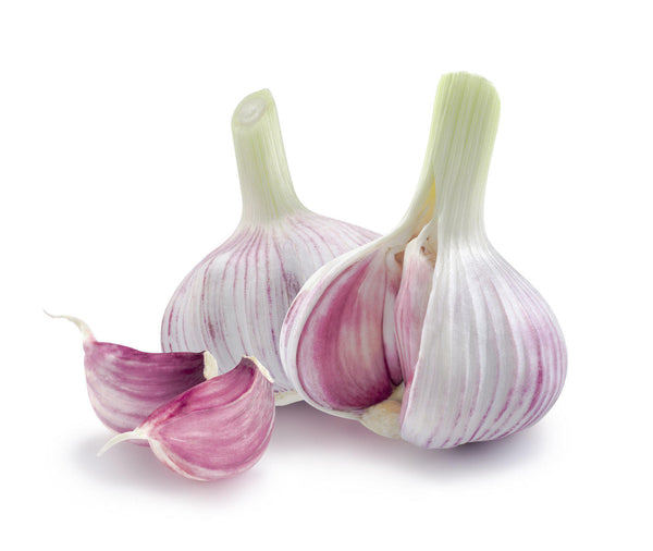 The Complete Garlic for Hemorrhoids Review (2019) - Can I Use Garlic on Hemorrhoids?